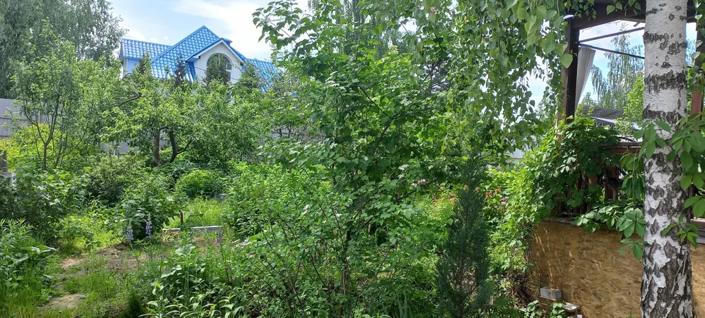 Дом с русской баней внутри.