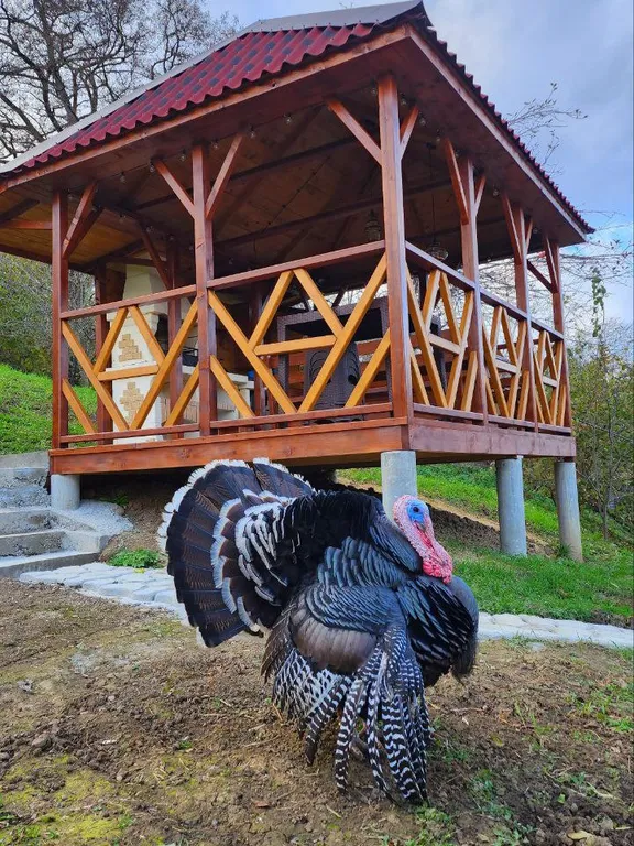 Деревенский домик с собственной беседкой и прекрасным видом на горы