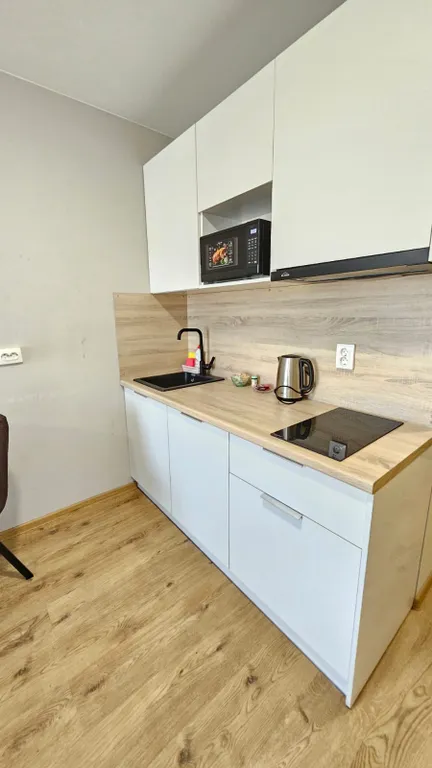 Студия у метро Парнас