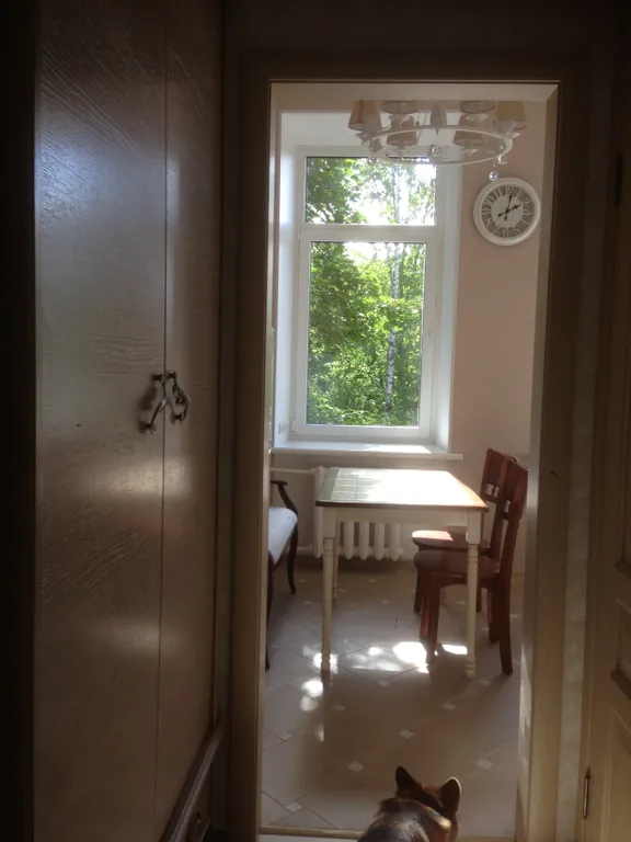 Петергофский Парадиз