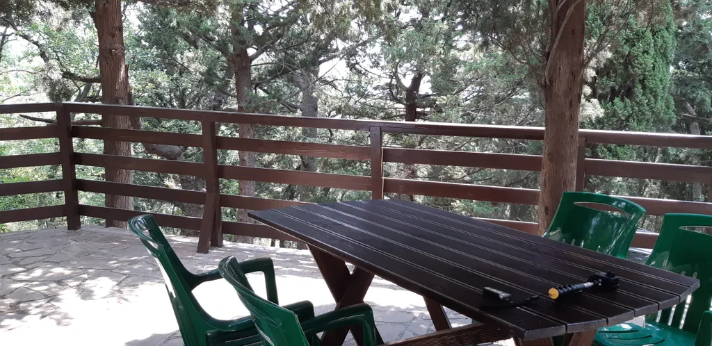 Кипарис Шале 1