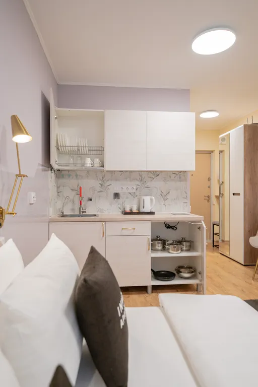 Апартаменты у метро Парнас