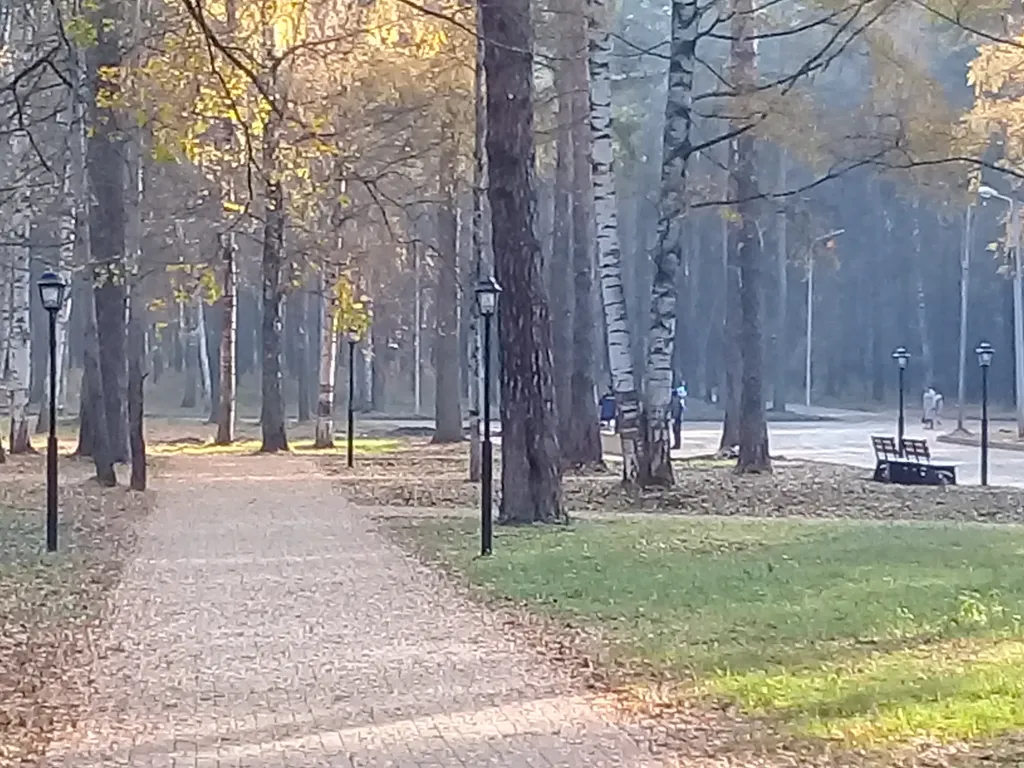 Дом у парка Берендеевка