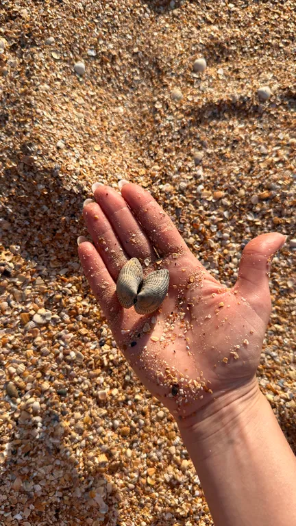 Двухкомнатный с гостиной