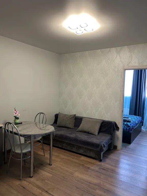 Уютная студия в центре Старой Купавны