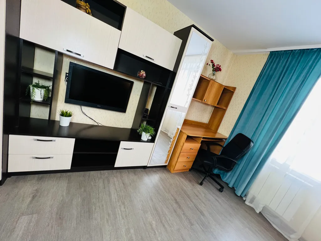 1-комнатная квартира в деловом и историческом центре города с новогодней елкой