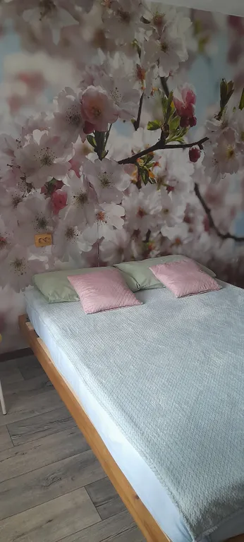 Квартира  у подножия  горы