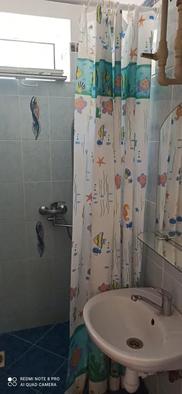 Сосновый бор