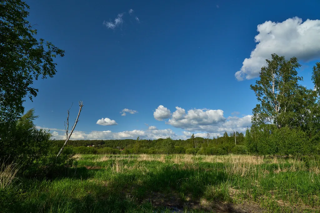 Коттедж Коттедж премиум - класса с сауной рестораном у леса — Коробицыно
