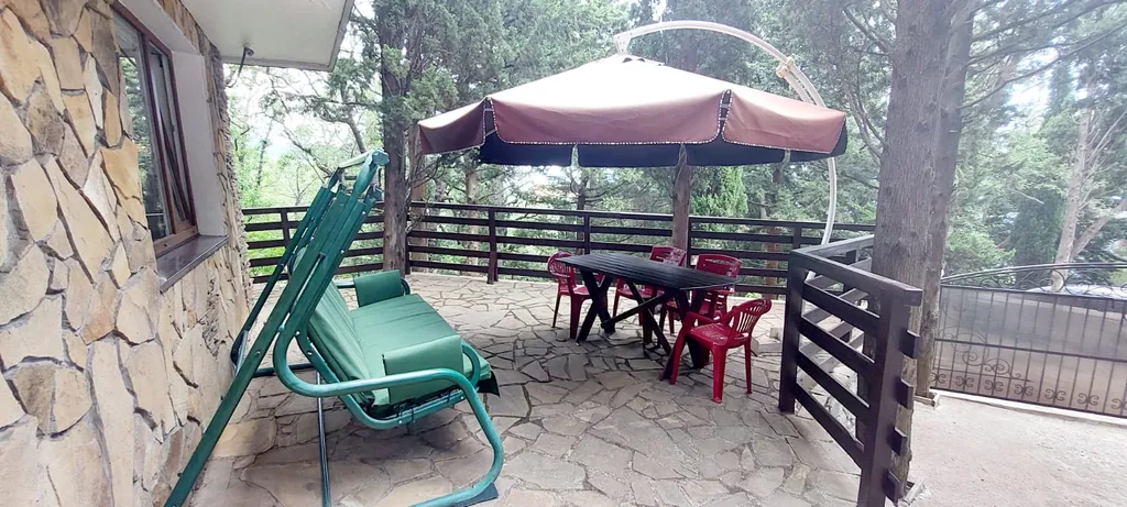 Кипарис Шале 1