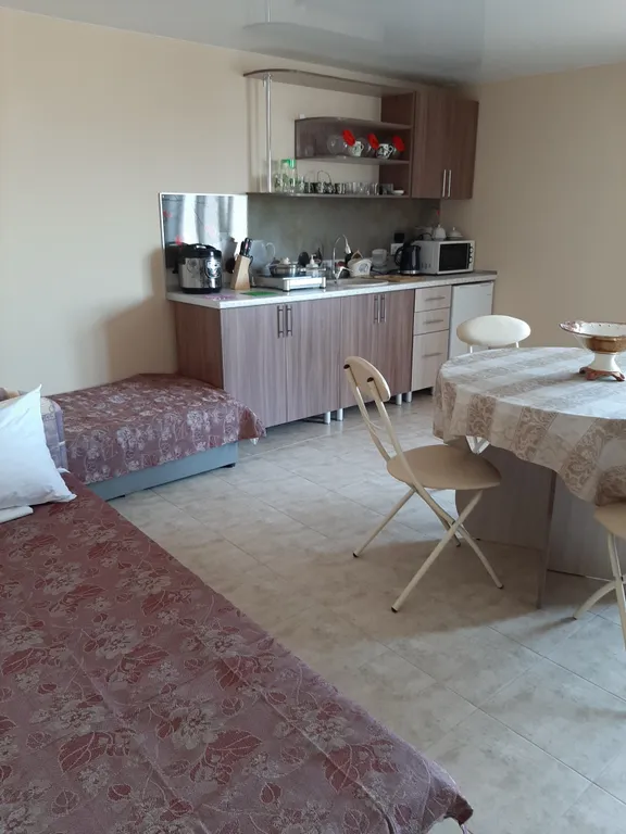 Апартаменты двухкомнатный номер с кухней № 14