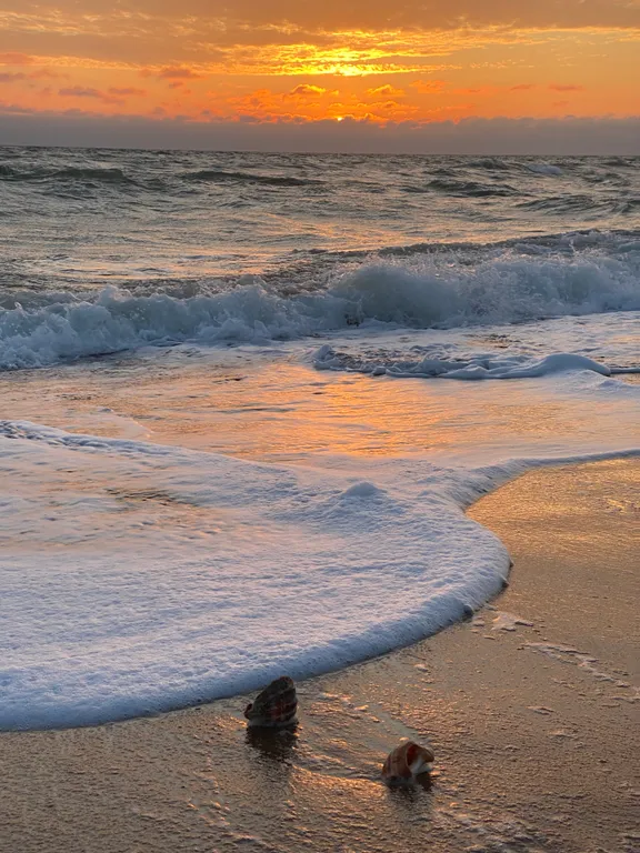 Апартамент полулюкс у моря