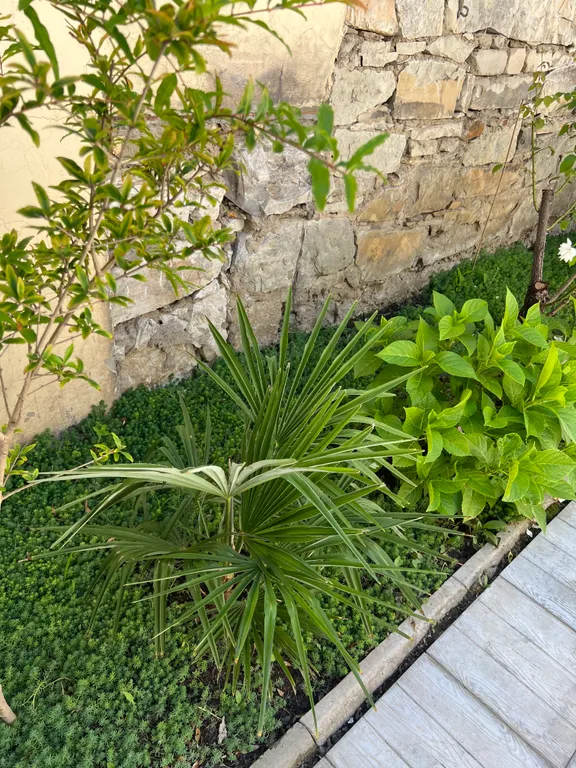 Коттедж Дом в центре города — Махачкала