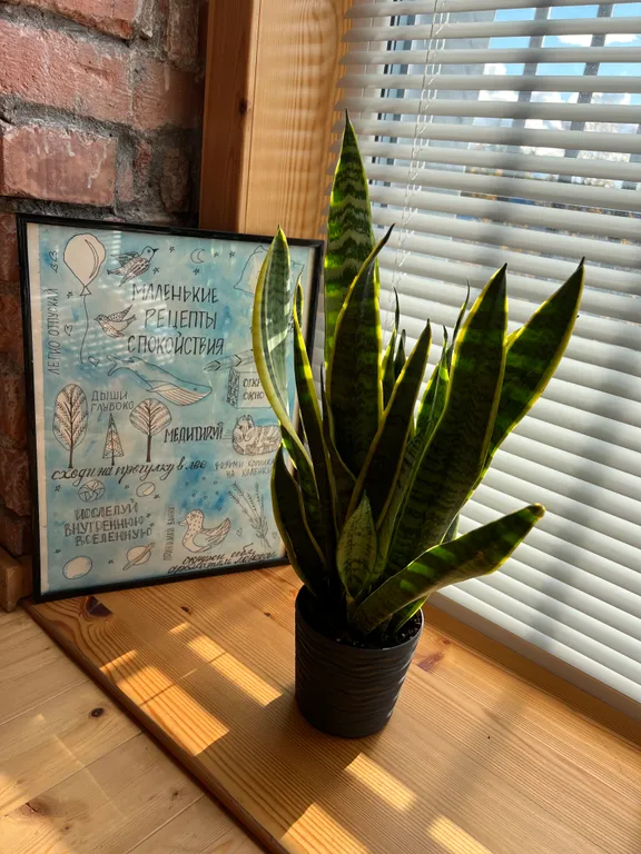 Квартира - студия в центре