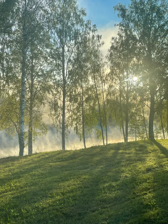 Домик в лесу с озером