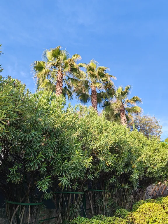 Уютная квартира рядом с морем и диким пляжем