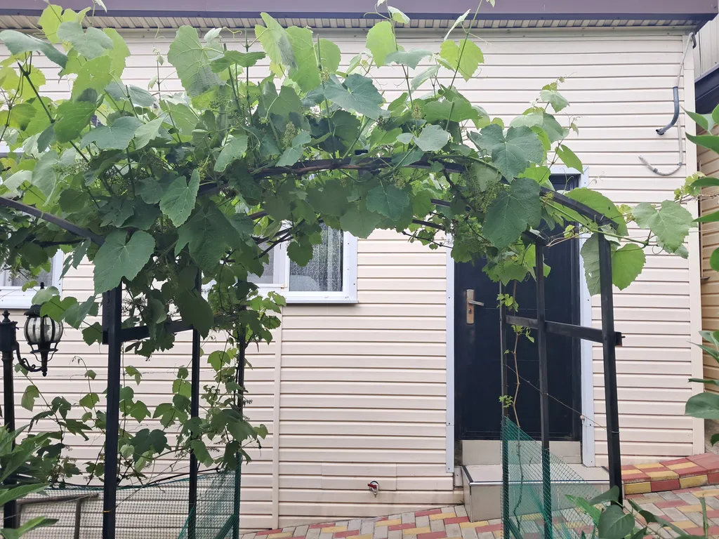 Коттедж Домик с беседкой у моря — аренда посуточно в Туапсе