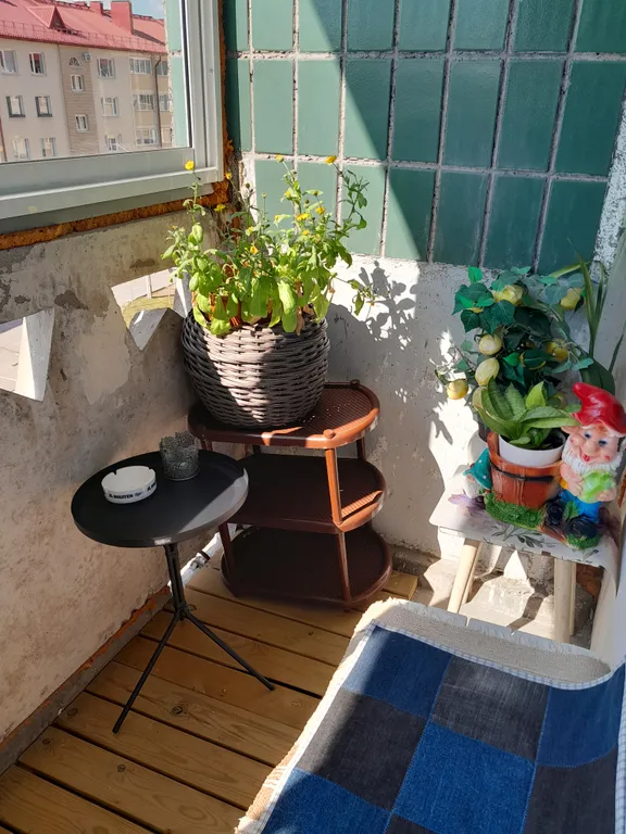 Карелия Сортавала 2 комнатная квартира, wi-fi, парковка, рядом кафе, озеро