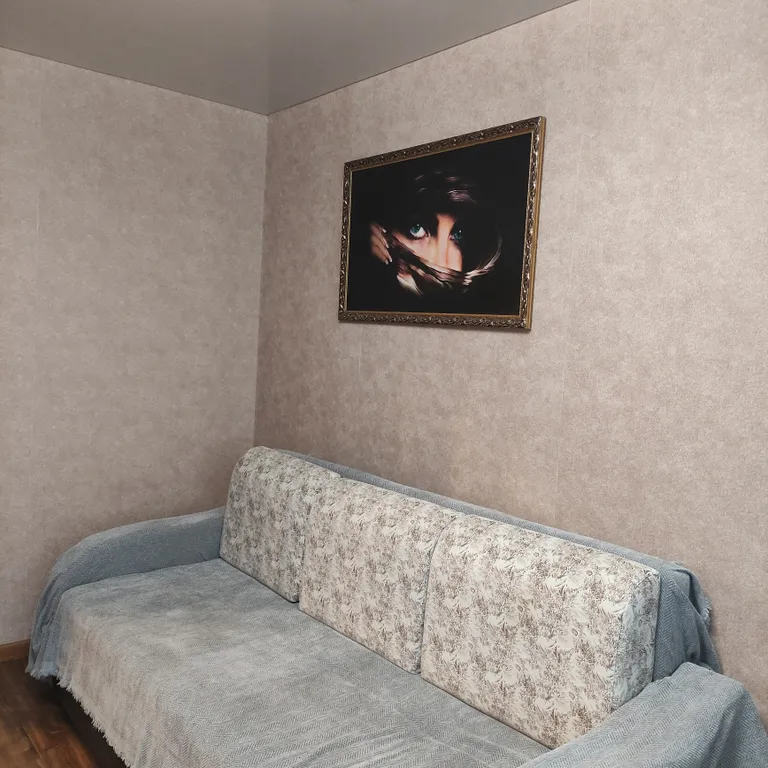 Уютная квартира на Чкалова-Калинина