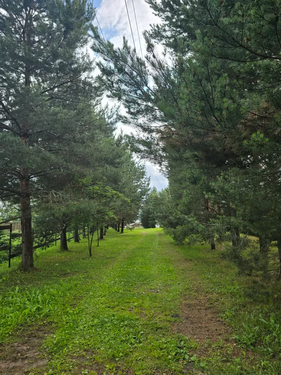 Новый дом на Селигере