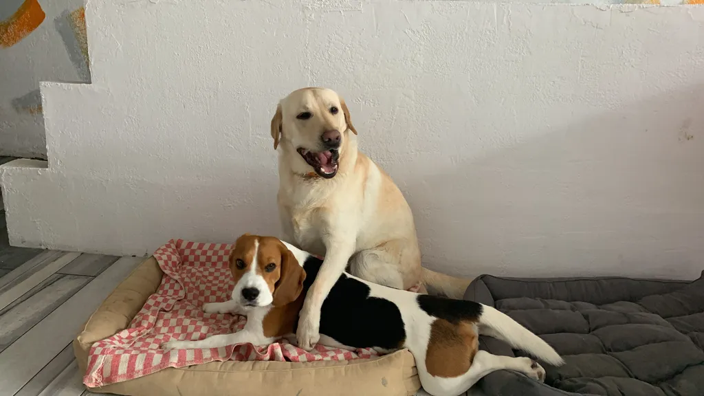 Уютные номера