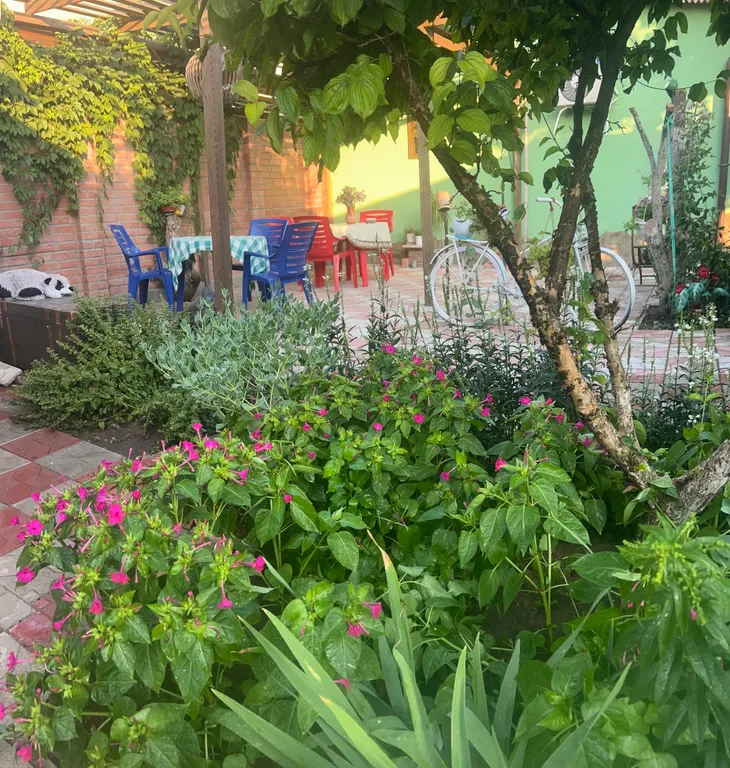 Эконом отдых