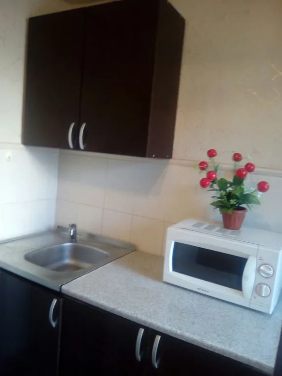 Двухкомнатная квартира в центре города