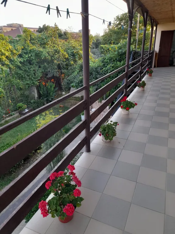 Уютные номера в городе Гудаута