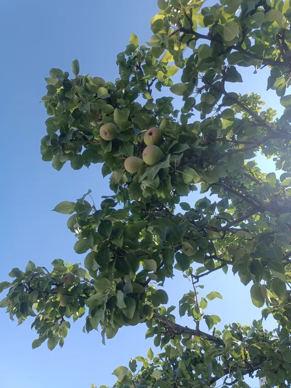 Уютная квартира с интернетом