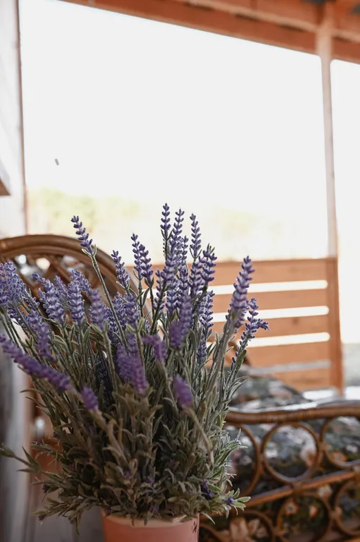 Коттедж Дом Лавандовый — Луховицы