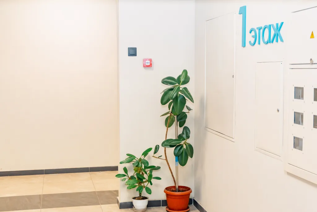 Уютная квартира-студия