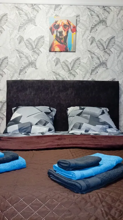 Квартира Уютная квартира — Калининград