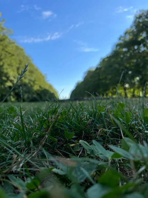 Апартамент Небо