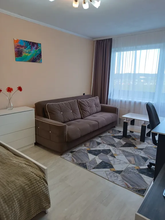 Уютная однокомнатная квартира