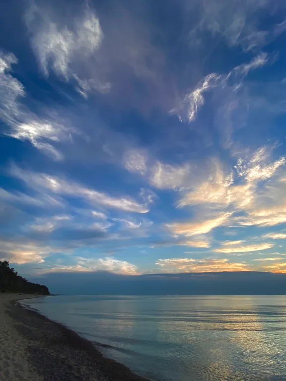 Квартира Квартира Апартамент Orange — Светлогорск