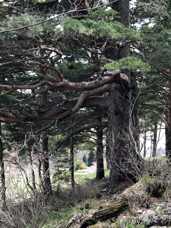 Таунхаус с 2 спальнями с видом во дворик