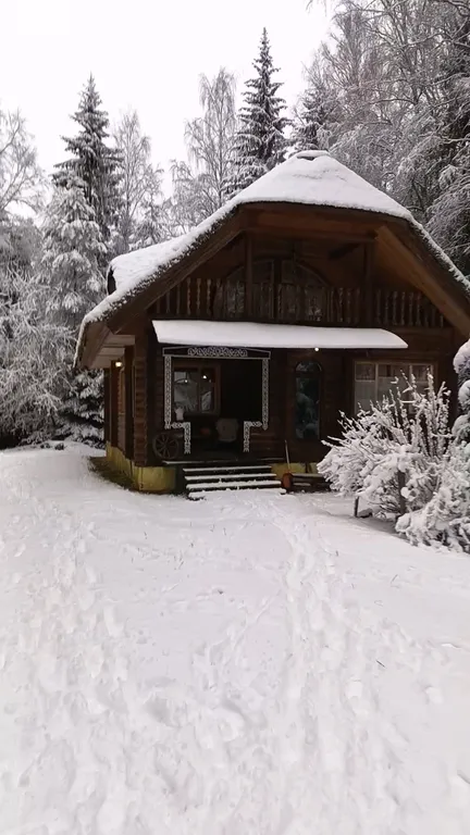 Изба (дом) из экологически чистого бревна под камышовой крышей в лесу