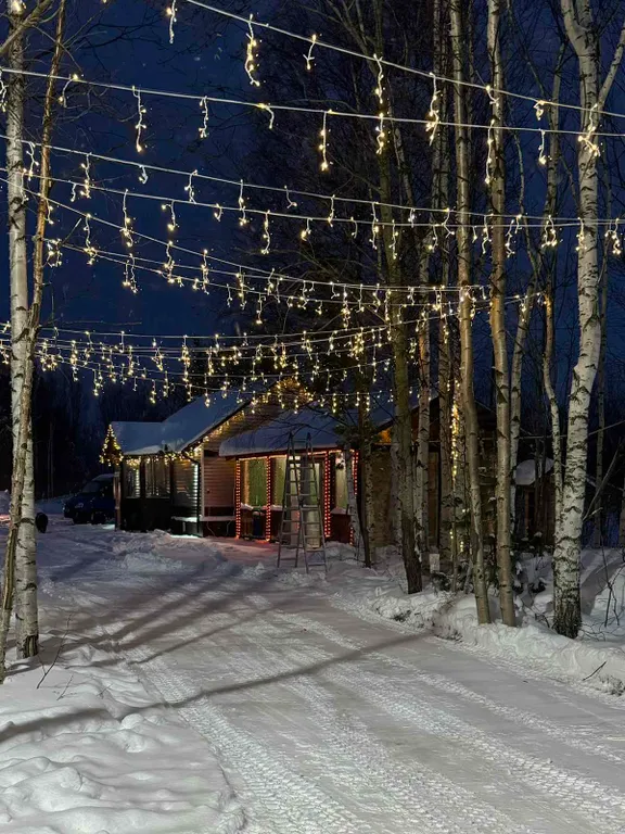 Коттедж 1-комнатный Дом — аренда посуточно в Сургут