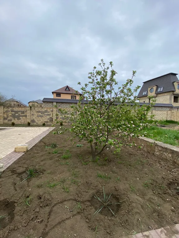 Дача на берегу моря