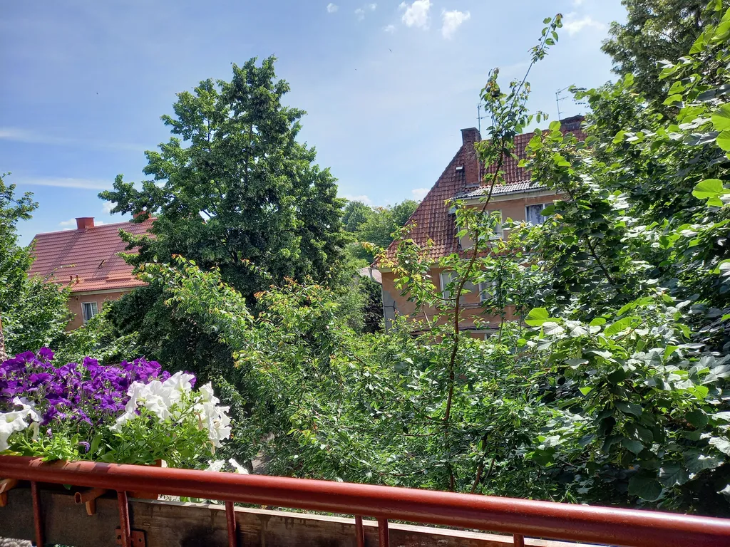 Шикарный район, отличная цена