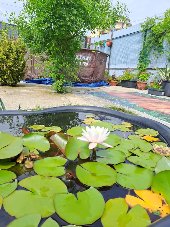 Дом недалеко от моря