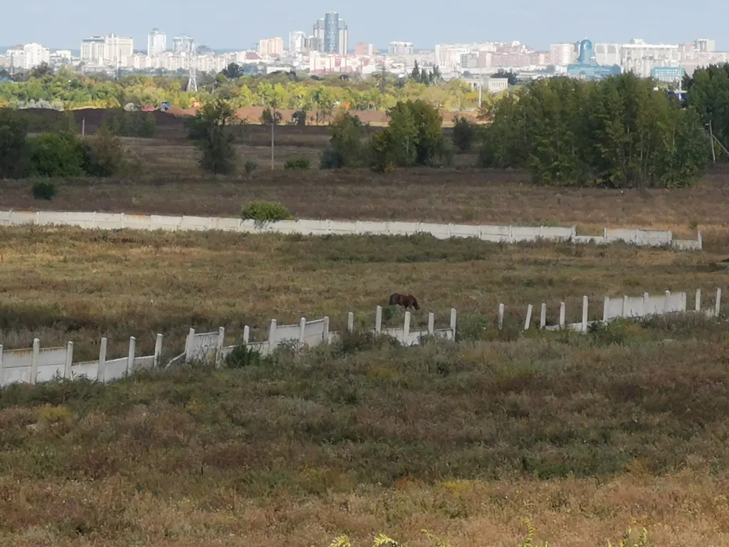 Уютная квартира рядом с коне заводом, вдали от городской суеты