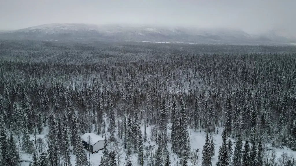 Дом среди леса в 15 минутах езды от города