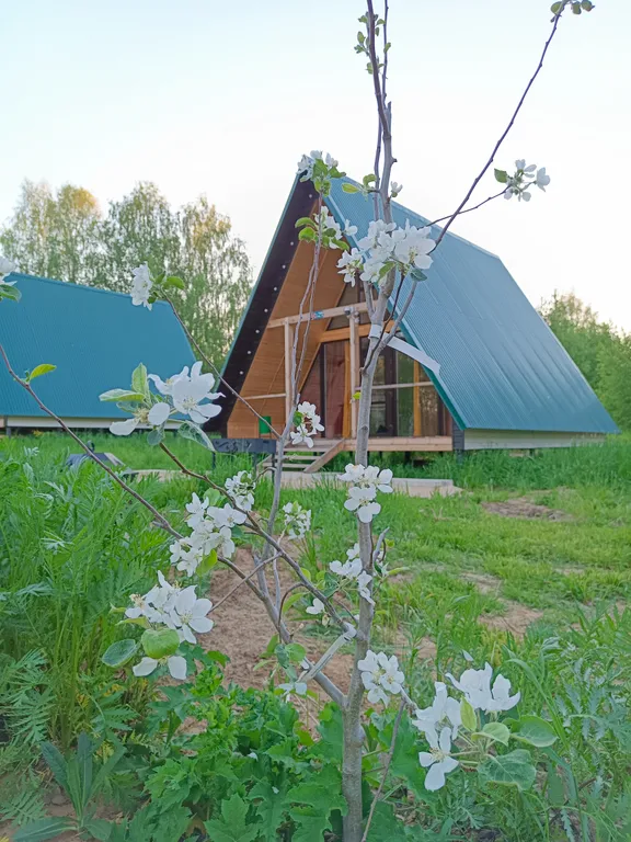 Дом 1 А фрейм на базе отдыха Куба