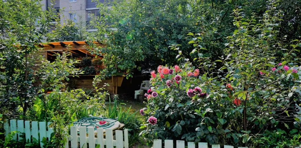 Квартира Апартаменты Fritz Grosse — Светлогорск