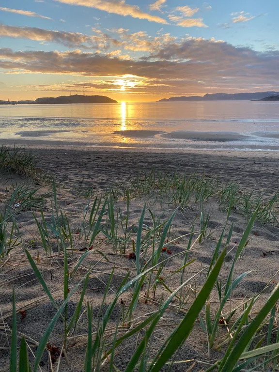 Мини дом для путешественников