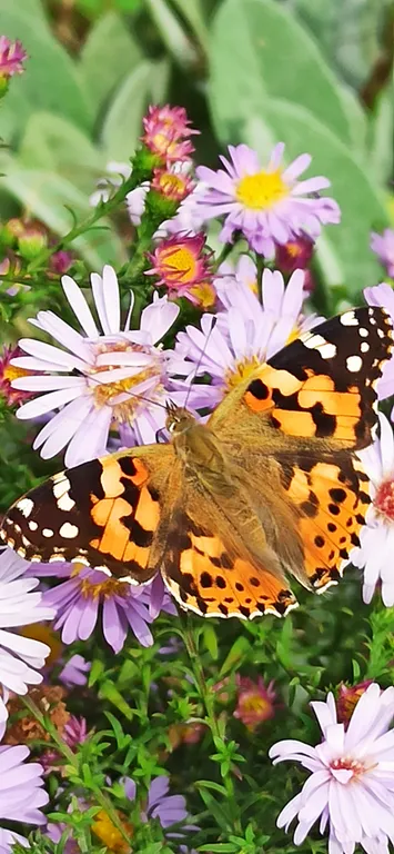 Загородный дом для перезагрузки