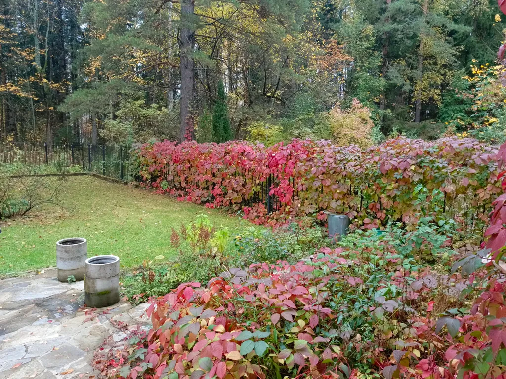 Гостевой дом Профессорский, коттедж в лесу недалеко от центра города