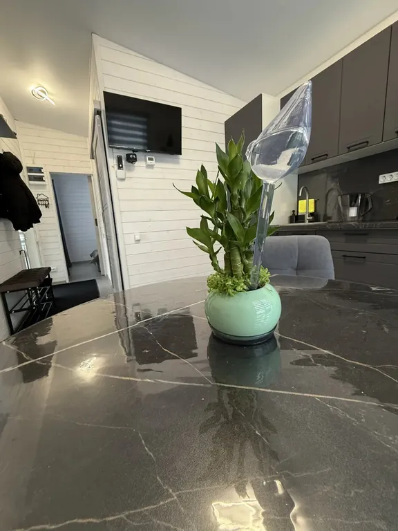 Уютный дом в черте города