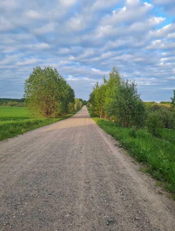 Дом на берегу Волги